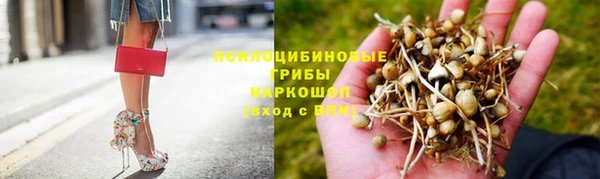 a pvp Данков