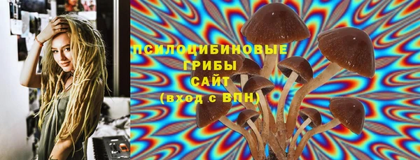 ГАЛЛЮЦИНОГЕННЫЕ ГРИБЫ Верхний Тагил