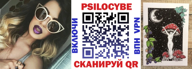 Псилоцибиновые грибы Psilocybine cubensis  Володарск 